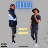Wayzee405、Brown Tz - Hello (Radio edit)