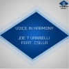 joe t vannelli、csilla - Voice in Harmony (Joe T Vannelli Original Mix)