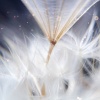 Hatha Yoga Music Zone - Grounding in Stillness