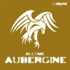Allume - Bern Green