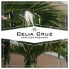 Celia Cruz - Baila, Baila, Vicente