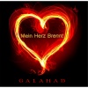 Galahad - Mein Herz Brennt (Piano, Violin & Vocal)