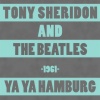Tony Sheridon - What'd I Say