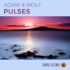 Adani & Wolf、Adani、Wolf - Pulses (Original Mix)