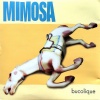 Mimosa - Is it Spring