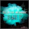 Bulljay、Mr.Shammi - Blaze It (DJ MNS vs. E-Maxx Remix)