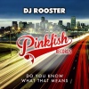 dj rooster - Do You Know What That Means (Original Mix)