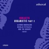 Soulkeys - Organistic (Alfonso Muchacho Remix)