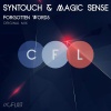 Syntouch、Magic Sense - Forgotten Words (Original Mix)