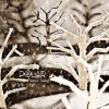 Polar - Snow Song