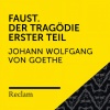 Johann Wolfgang von Goethe、Carin C. Tietze、Stefan Wilkening、Reclam Hörbücher、Hans Sigl、Gert Heidenreich、Johannes Steck、Laura Maire - Faust I (Zueignung)
