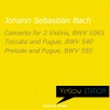 Hans Kalafusz、Stuttgart Chamber Orchestra、Wolfgang Rösch - I. Vivace
