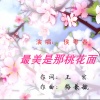 侯粤春 - 最美是那桃花面
