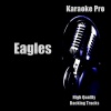 Karaoke Pro - After The Thrill Is Gone - Karaoke Pro