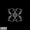 DSM - Echo Of The Unknown