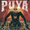 Puya - Oasis
