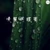 莫七 - 凌晨的眼泪