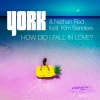 Kim Sanders、York、Nathan Red - How Did I Fall in Love? (R.I.B. Remix)