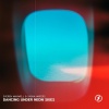 Sasha Waters、Everen Maxwell - Dancing Under Neon Skies