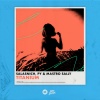 Salasnich、PY & Mastro Sally - Titanium