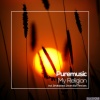 Puremusic - My Religion