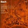 Kammerorchester Berlin、Peter Schreier - Rezitativ: 