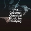 Hungarian State Symphony Orchestra、István Gáti、Richard Wagner、Hungarian Festival Chorus - No. 5 Rezitativ(Alt): Du Lieber Heiland Du