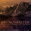 Bruno Walter、Wiener Philharmoniker - I. Allegro (cadenza by Reinecke)