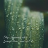 Rain Wonder、Nature Sounds for Sleep and Relaxation、Baby Rain Sleep Sounds - Mindful in the Rain