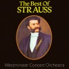 Westminster Concert Orchestra - The Blue Danube