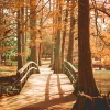 Sicily、James Quynh - Endless Heartbeat