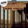 Gábor Lehotka - Variations on the motif 