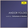 andor foldes - 1. Préambule
