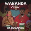 Ycee、Sho Madjozi - Wakanda Forever (feat. Ycee)