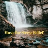 Serene Soul、Ultimate Waterflow、Office Music Radio - Office Cantata for Productive Calm