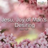 antonio ballista - Jesu, Joy of Man's Desiring, BWV 147