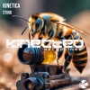 Kinetica - Sting (Original Mix)