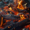 Study Academy、elderflowers、LUUNA - Focused Fire for Work Clarity