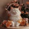 Cat Total Relax、Soothing Cat Music、Cats Music Zone - Whiskers Curl Sleep