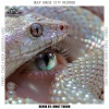 Fered、Umut Torun - Take a Ride (Umut Torun Remix)