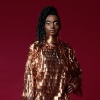 Lakecia Benjamin、randy brecker、John Scofield、Jeff Tain Watts - Phoenix Reimagined (Live)