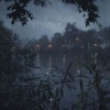 Nuwan、Zarobi、Pure Dog Music - Calm in the Canine's Rain