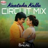 DJ Dalal - Kaatuka Kallu Circuit Mix (From 