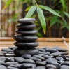 Musica Relax Academia、Musica Relajante & Yoga、Zona Música Relaxante - Tranquilidad