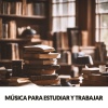 Dog Relaxation、Nature Recordings、Work Playlist - Enfoque fluido