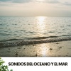 Ocean Sounds Plus、Cat Music Therapy、Relaxing Guru - Serenata Nocturna