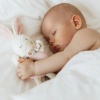 preaching music lullaby、Toddler Lullabyes、Baby Sleep Zone - Lullaby Whispers Gentle Tones