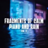 Rain Sounds FX、Calm Music、#Pianoclassico - Paradise
