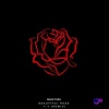 Shan Tazh - Beautiful Rose