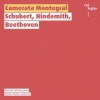 Camerata Montegral、gustav kuhn - Allegro (String Quartet No. 14 in D Minor &Quot;Death and the Maiden&Quot;, D 810)